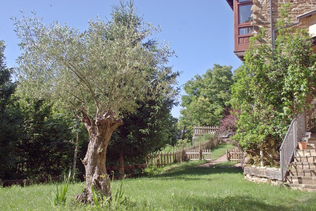 Posada Real El Sendero Del Agua (Adults Only) Trefacio Kültér fotó